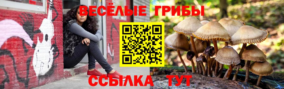 Унеча  Галлюциногенные грибы мухоморы  Вход с VPN 