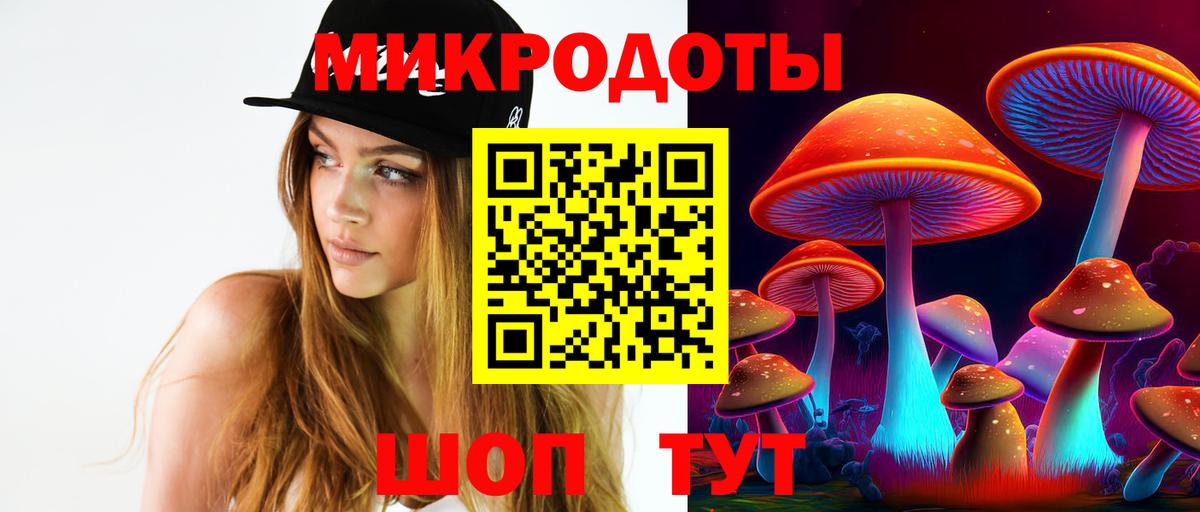 Галлюциногенные грибы Psilocybine cubensis Унеча